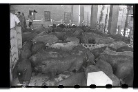 登錄號:KH2002.012.0069藏品圖，第2張