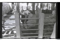 登錄號:KH2002.012.0069藏品圖，第7張