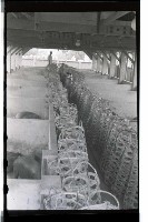 登錄號:KH2002.012.0069藏品圖，第18張