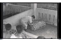 登錄號:KH2002.012.0069藏品圖，第20張