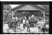 登錄號:KH2002.012.0070藏品圖，第3張