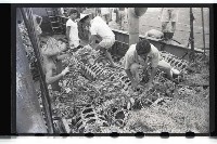 登錄號:KH2002.012.0070藏品圖，第9張