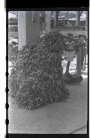 登錄號:KH2002.012.0070藏品圖，第11張