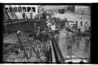 登錄號:KH2002.012.0071藏品圖，第3張