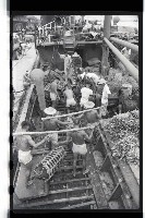 登錄號:KH2002.012.0071藏品圖，第4張