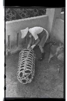 登錄號:KH2002.012.0071藏品圖，第7張