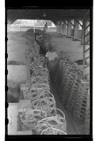 登錄號:KH2002.012.0071藏品圖，第14張