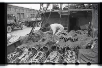 登錄號:KH2002.012.0071藏品圖，第22張