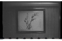 登錄號:KH2002.012.0072藏品圖，第9張