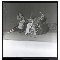 登錄號:KH2002.012.0118藏品圖，第28張