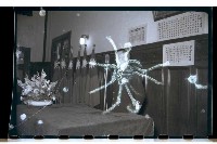 登錄號:KH2002.012.0139藏品圖，第23張