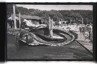 登錄號:KH2002.012.0153藏品圖，第1張