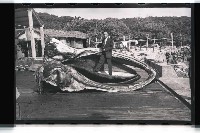 登錄號:KH2002.012.0153藏品圖，第2張