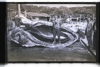 登錄號:KH2002.012.0153藏品圖，第3張