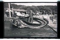 登錄號:KH2002.012.0153藏品圖，第6張