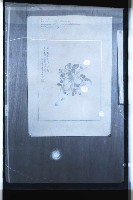 登錄號:KH2002.012.0165藏品圖，第1張