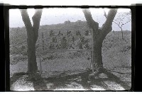 登錄號:KH2002.012.0172藏品圖，第16張