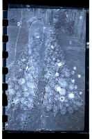 登錄號:KH2002.012.0177藏品圖，第11張