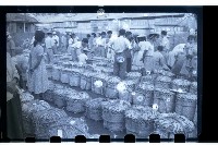 登錄號:KH2002.012.0177藏品圖，第12張