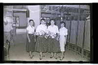 登錄號:KH2002.012.0179藏品圖，第2張