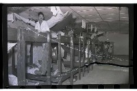 登錄號:KH2002.012.0182藏品圖，第13張