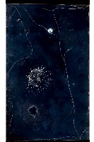 登錄號:KH2002.012.0221藏品圖，第19張