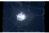 登錄號:KH2002.012.0221藏品圖，第23張