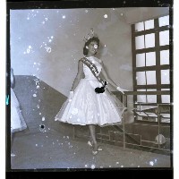 登錄號:KH2002.012.0232藏品圖，第2張