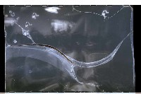 登錄號:KH2002.012.0246藏品圖，第24張