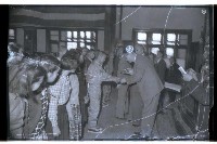 登錄號:KH2002.012.0252藏品圖，第30張