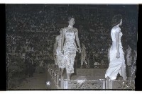 登錄號:KH2002.012.0275藏品圖，第19張