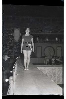 登錄號:KH2002.012.0276藏品圖，第37張