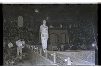 登錄號:KH2002.012.0277藏品圖，第2張