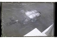 登錄號:KH2002.012.0288藏品圖，第11張