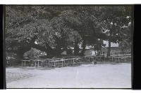 登錄號:KH2002.012.0288藏品圖，第31張