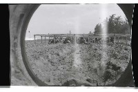 登錄號:KH2002.012.0294藏品圖，第2張