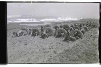 登錄號:KH2002.012.0294藏品圖，第5張