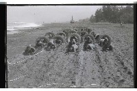 登錄號:KH2002.012.0294藏品圖，第7張