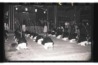 登錄號:KH2002.012.0302藏品圖，第18張