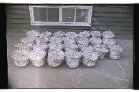 登錄號:KH2002.012.0320藏品圖，第12張