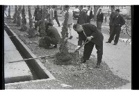 登錄號:KH2002.012.0335藏品圖，第7張