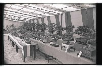 登錄號:KH2002.012.0343藏品圖，第24張