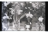 登錄號:KH2002.012.0343藏品圖，第25張