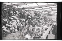 登錄號:KH2002.012.0343藏品圖，第26張