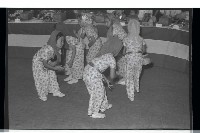 登錄號:KH2002.012.0348藏品圖，第16張