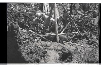 登錄號:KH2002.012.0351藏品圖，第17張