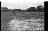 登錄號:KH2002.012.0357藏品圖，第11張