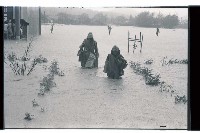 登錄號:KH2002.012.0363藏品圖，第16張