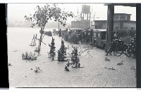 登錄號:KH2002.012.0363藏品圖，第18張