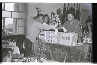 登錄號:KH2002.012.0381藏品圖，第20張